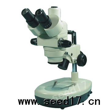 PXS-E �B�m(x��)׃���wҕ�@΢�R